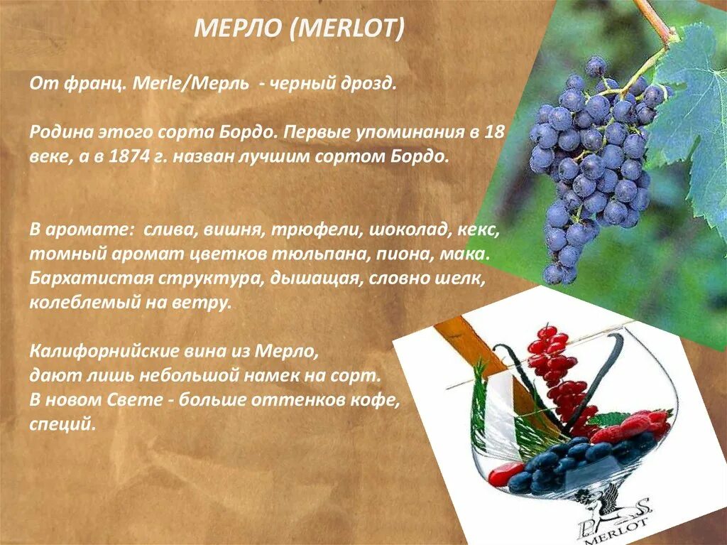 Виноградное вино сканворд