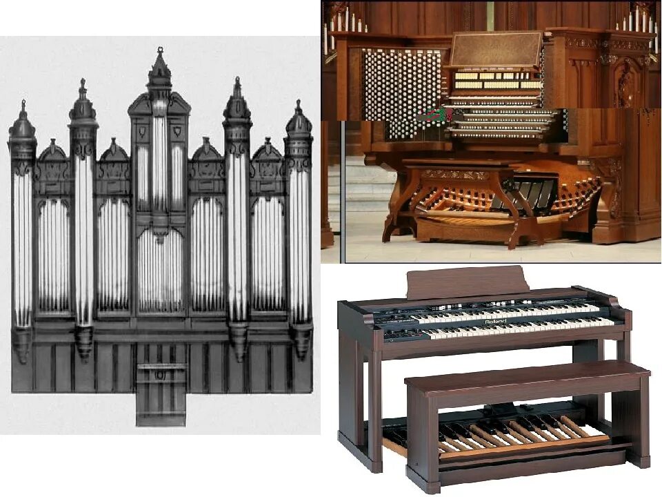 Где есть орган. Строение органа инструмента. Строение музыкального органа. Размер органа инструмента. Устройство органа музыкального инструмента.