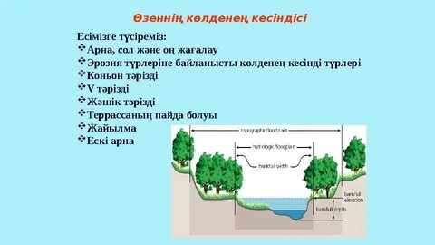 Бритни Спирстің кискасы және оның үйдегі бейнелері