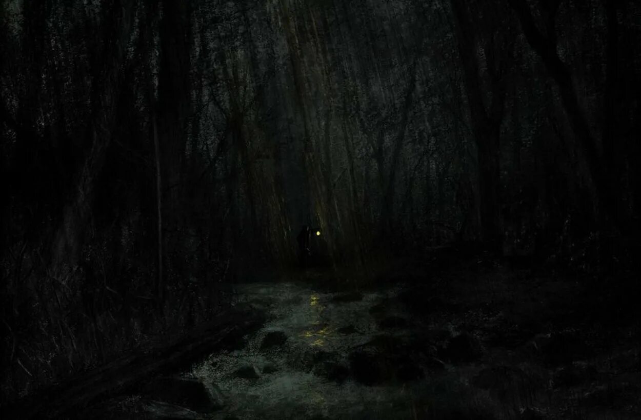 Ночной лес. Страшный лес ночью. Тропинка в лесу ночью. Мрачный ночной лес. Обычная темнота