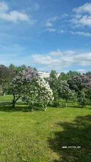 Сиреневый сад москва митьковский проезд отзывы