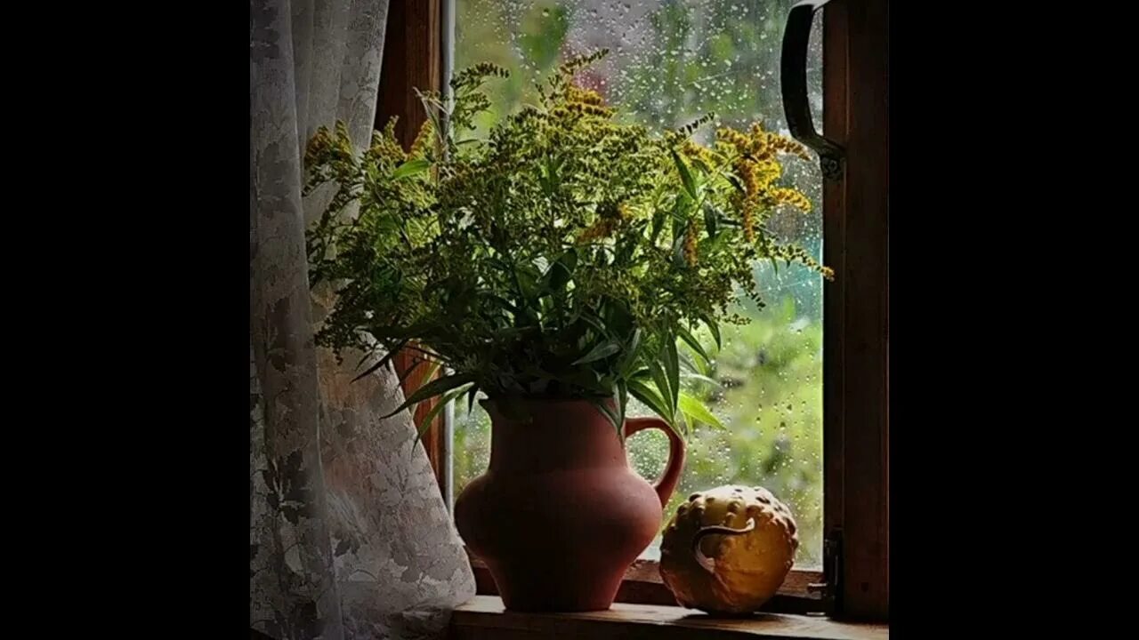 Вид из деревенского окна. Дождь за окном. Цветы на деревенском окне.