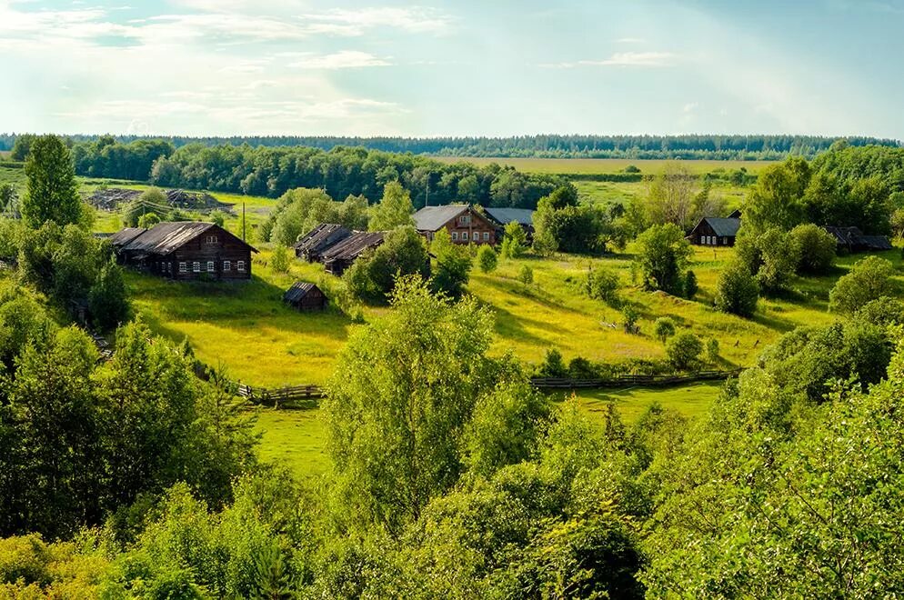 Село зелени. Деревня в лесу. Деревня у леса. Красивая деревня. Деревня возле леса.