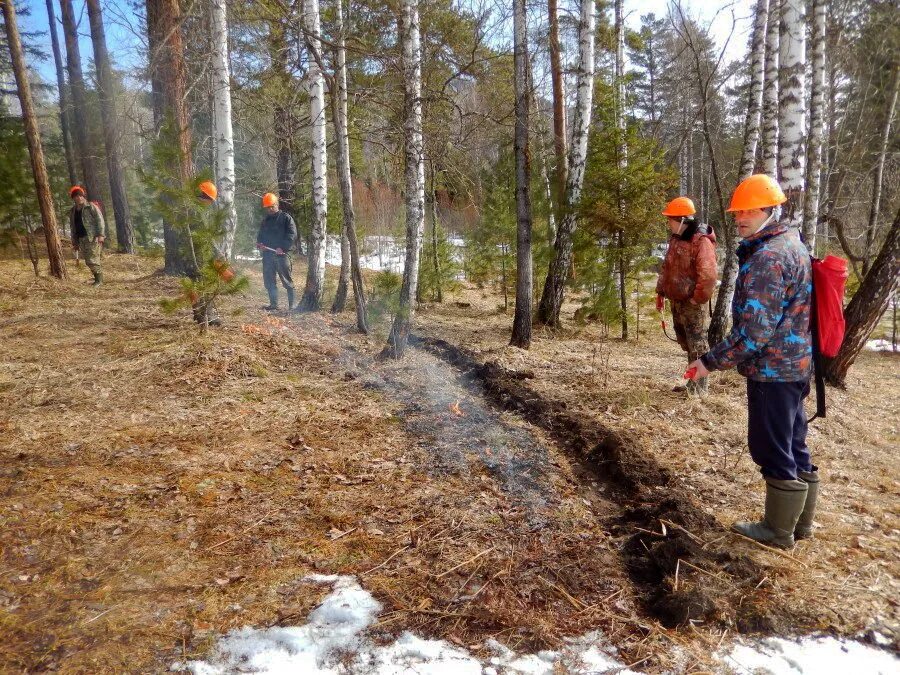 Минприроды телефон. Штаб лесного пожара. Минприроды. Федеральный штаб по тушению лесных пожаров. Минприроды фото.