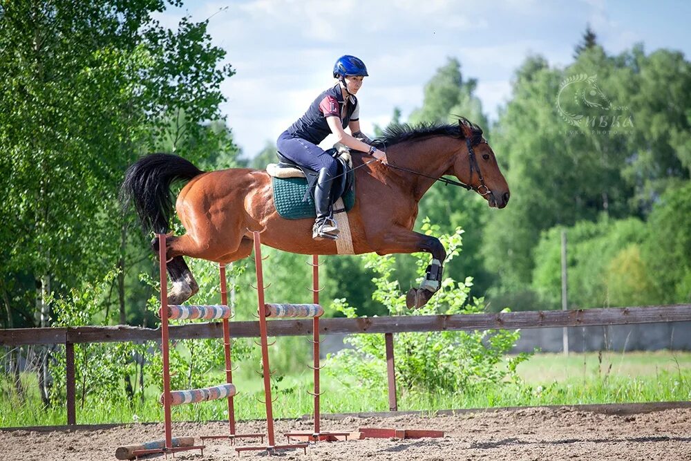 Кск аренда. КСК Сивка. Конный клуб Сивка. КСК Сивка Москва. Сивка конный клуб Щапово.