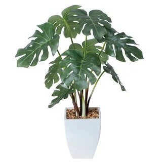 Plant off