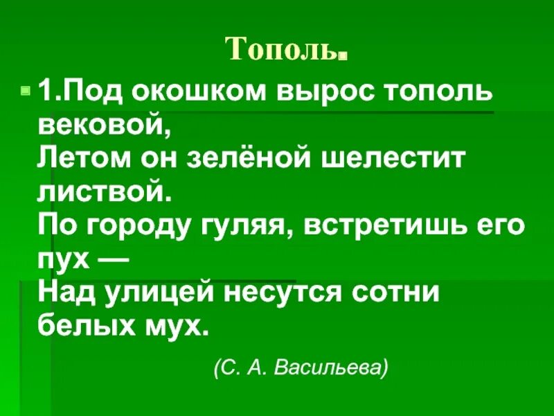 Стихи про Тополь. Загадка про Тополь для дошкольников. Загадки про Тополь. Стихотворение про Тополь для детей. Тополя слова текст