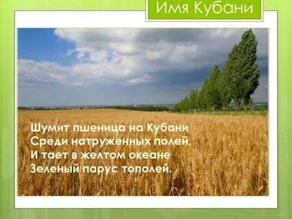 Называют кубанью
