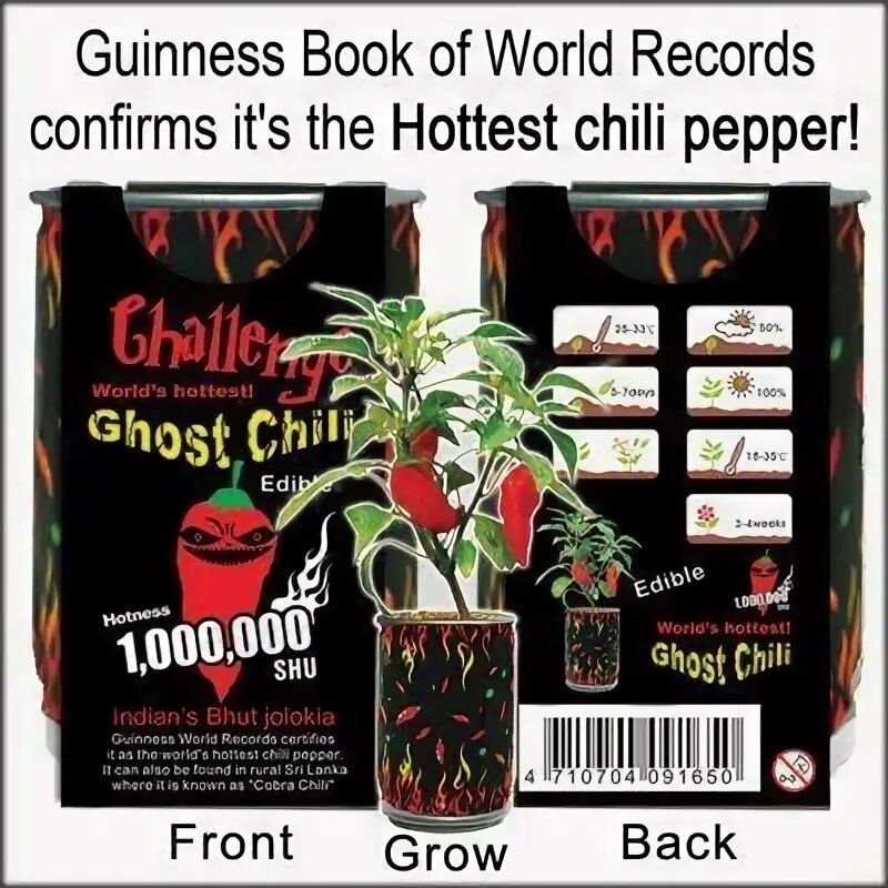 World pepper. Ghost Pepper. Ghost Chili. Chilli in the World Jolokia Bhut. Bhut Jolokia, соус.