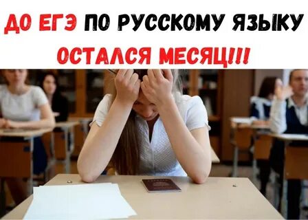 До егэ 2024 осталось