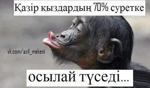 Қалыңдықтарды сиқытып жатқан видео