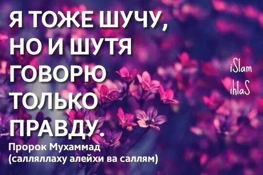 Шутить правдой