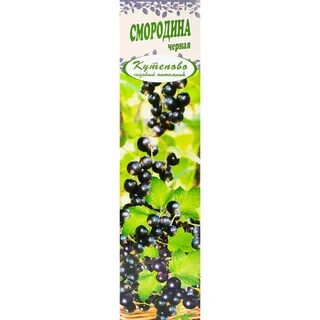 Семена смородины
