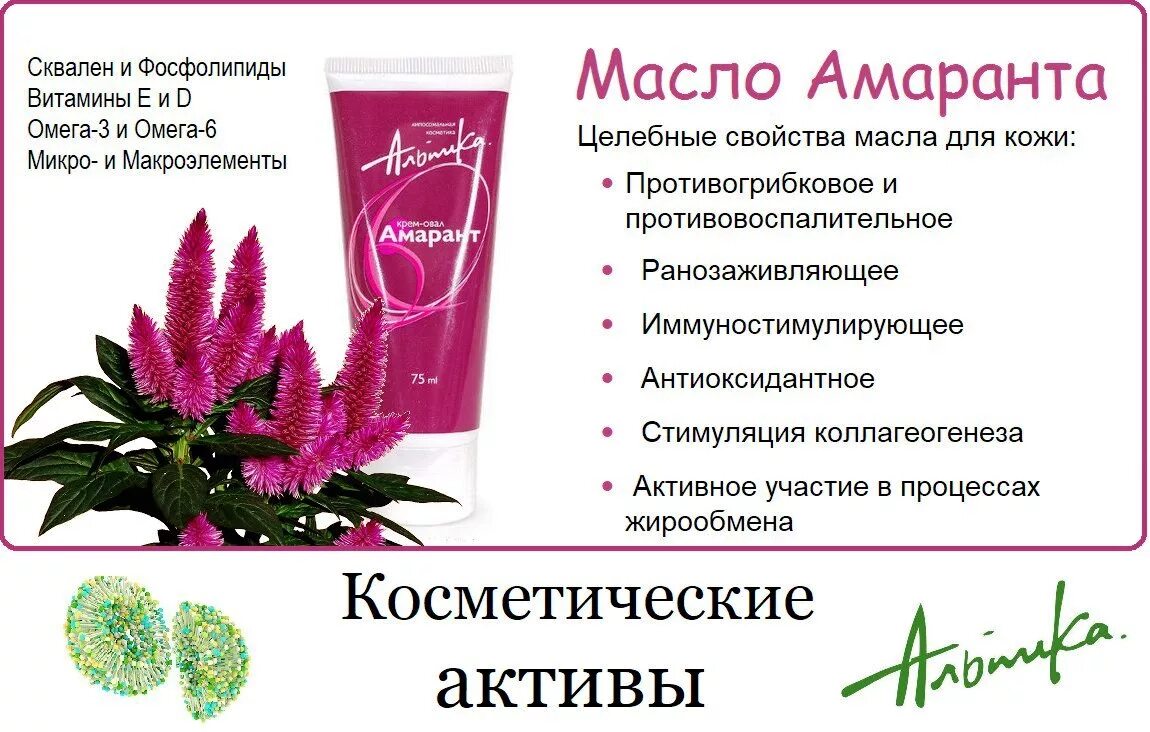 Амарант применение. Масло амаранта. амарантовое масло полезные свойства. амарантовое масло польза. характеристика амарантового масла.