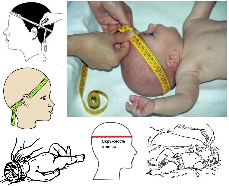 Окружность головы новорожденного. Обхват головы новорожденного. Измерение окружности головы у детей. Окружность головки новорожденного.