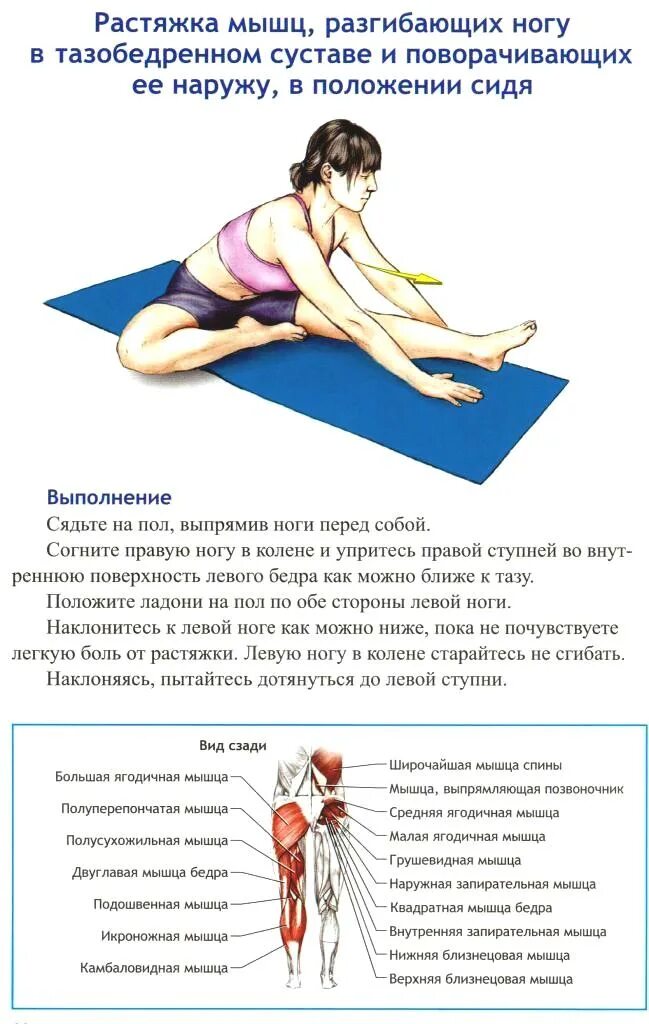 Мышцы передней поверхности бедра. Суставная капсула тазобедренного сустава анатомия. Частичный разрыв коллатеральной связки. Перерастяжение мышц бедра. Кости таза человека седалищный нерв.