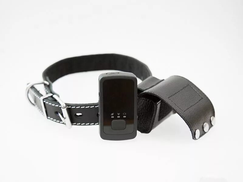 Лучшие gps ошейники. Gps маячок для собак. ошейник с трекером. чехол для трекера на ошейник. ошейник с gps.