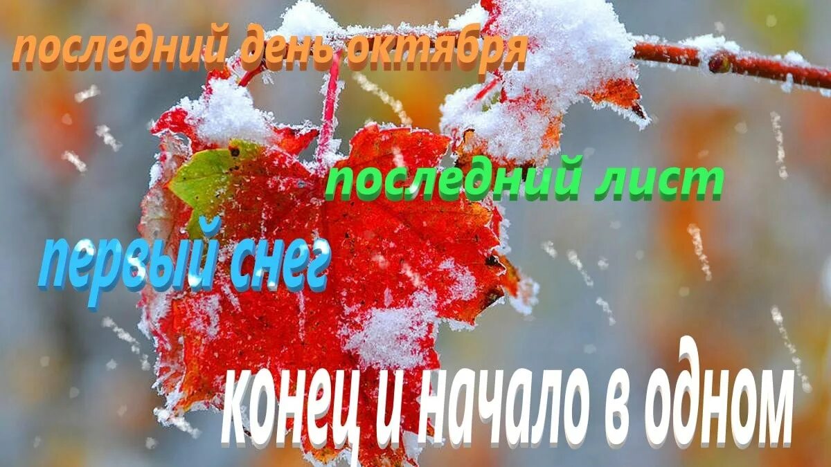 Доброе утро последний день февраля 29. С последним днем октября доброе утро. С добрым утром последний день октября. Доброе утро понедельника последний день октября. Добрый день последний день октября.