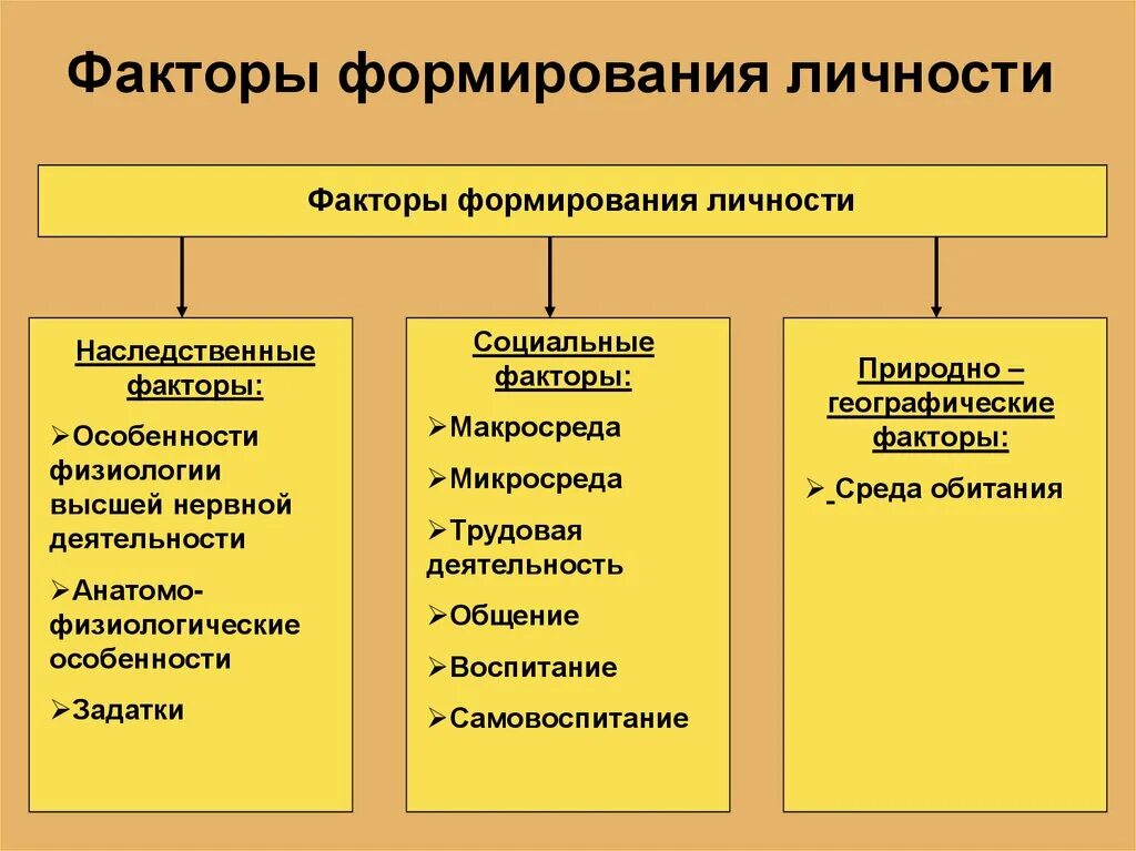 Назовите факторов формирования личности