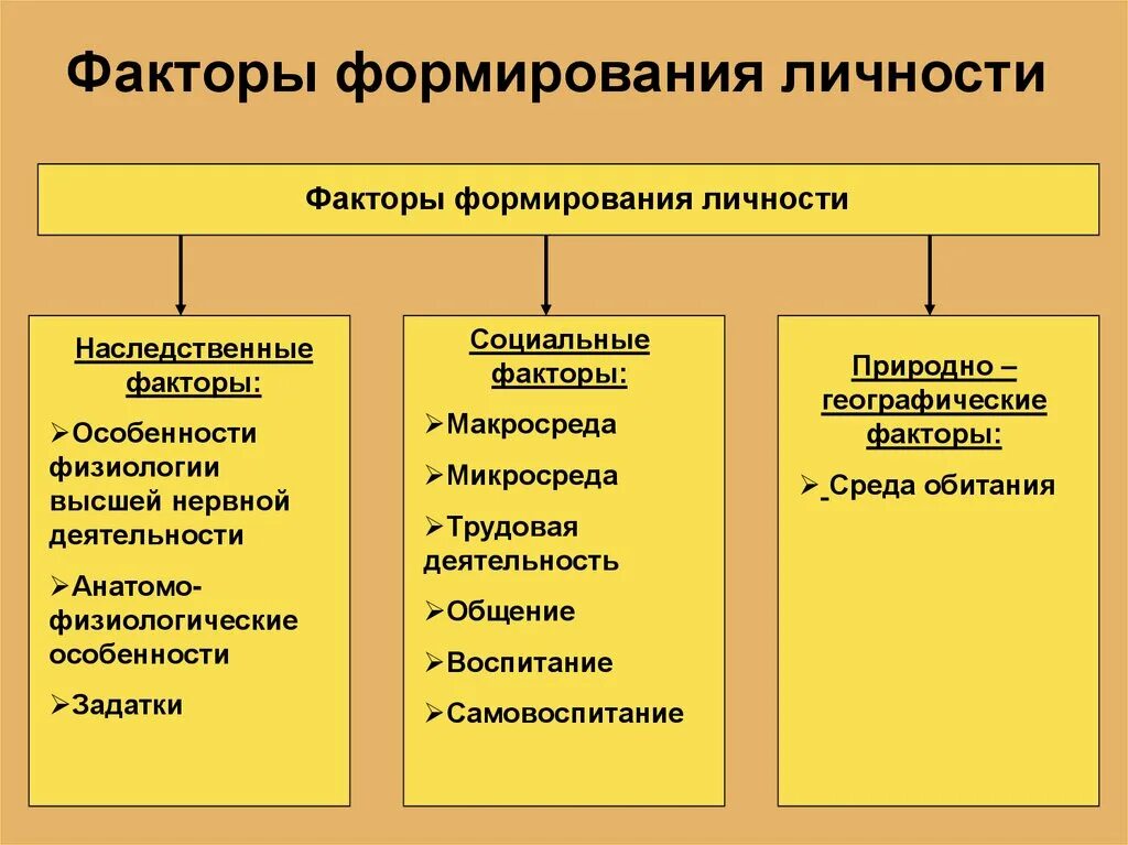 Социальное условие формирования человека. Факторы формирования личности. Проанализируйте факторы формирования и развития личности.. Перечислите факторы формирования личности. Факторы формирования личности в психологии.