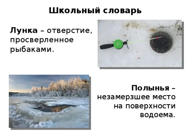 Полынья значение. Незвмкрзшее место на поыерхности ыодокма зимой. полыньям на водоёме. незамерзшей как пишется. наличие лунок и полыньи..