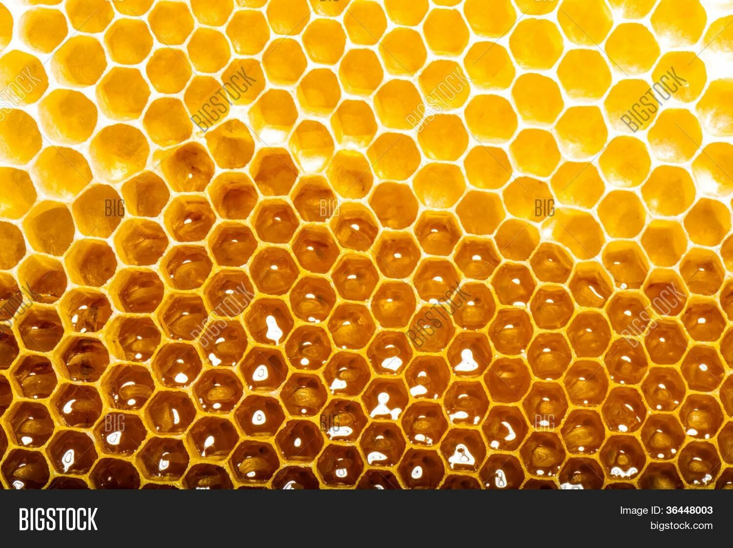 Цвет сот. Шестигранная металлическая плитка гексагон. Пчелиные соты с медом. Цвет сот. Соты меда.