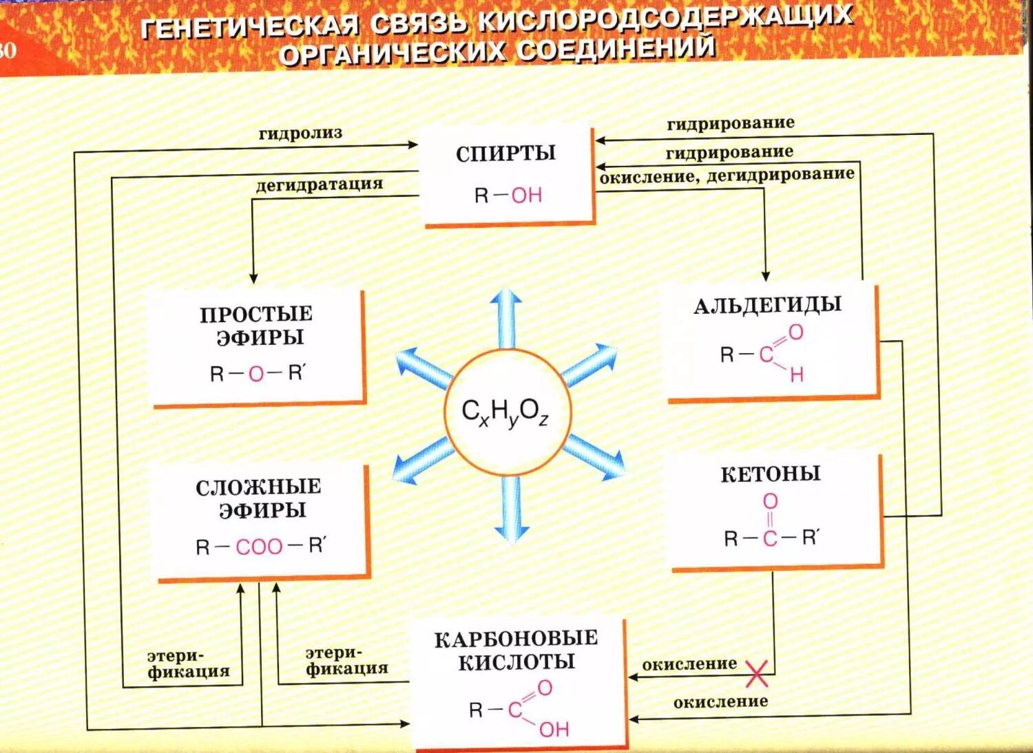 Кислородсодержащие соединения азотсодержащие соединения. Генетическая взаимосвязь между классами органических соединений. Генетическая связь кислородсодержащих органических соединений. Схема генетической связи между классами органических веществ. Взаимосвязь органических соединений углеводородов.