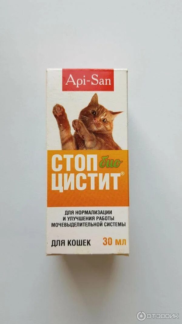 Стоп цистит для собак отзывы. Стоп-цистит био (для кошек), 30 мл. апи-сан стоп цистит суспензия. стоп цистит api-san суспензия. стоп цистит био для котов.