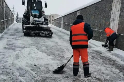 Землевладельцев на расчищенном