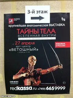 Тел секрет