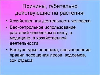 Деятельность растений