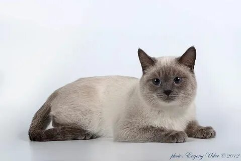 Фотки поинт