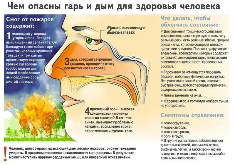 Вонючие газы. Отравление от дыма при пожаре. Симптомы отравления дымом при пожаре. Влияние пожаров на здоровье человека. Симптомы при отравлении дымом от пожара.