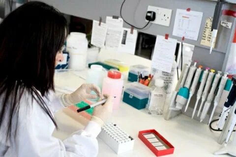 Экспертиза подтверждает
