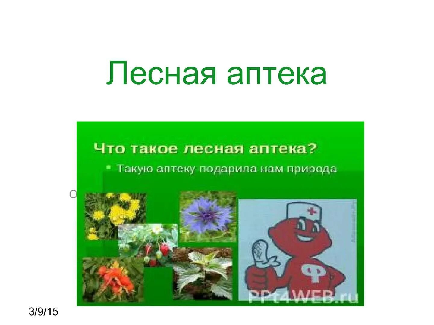 Доклад на тему лесная аптека. Презентация лесная аптека. Лесная аптека растения. Презентация лесная аптека. Лесная аптека для детей.