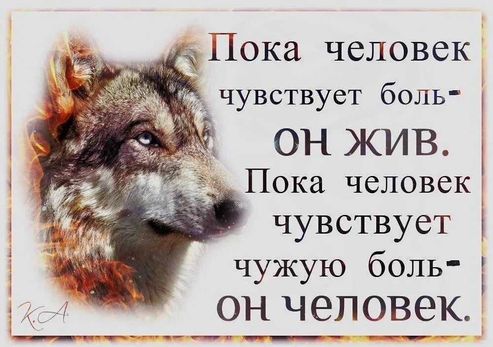 Пока человек чувствует. Пока человек чувствует боль. Человек жив пока чувствует боль. Пока человек чувствует чужую боль.