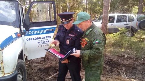 Обязанности лесной охраны