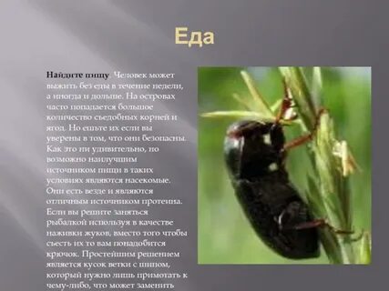 Сколько может выжить человек