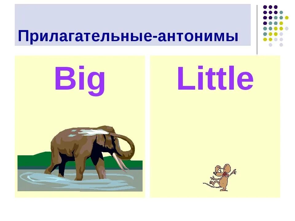 Слово низкий по английски. Прилагательные антонимы в английском языке. Противоположные прилагательные в английском языке. Противоположности в английском языке. Карточки противоположности для детей.