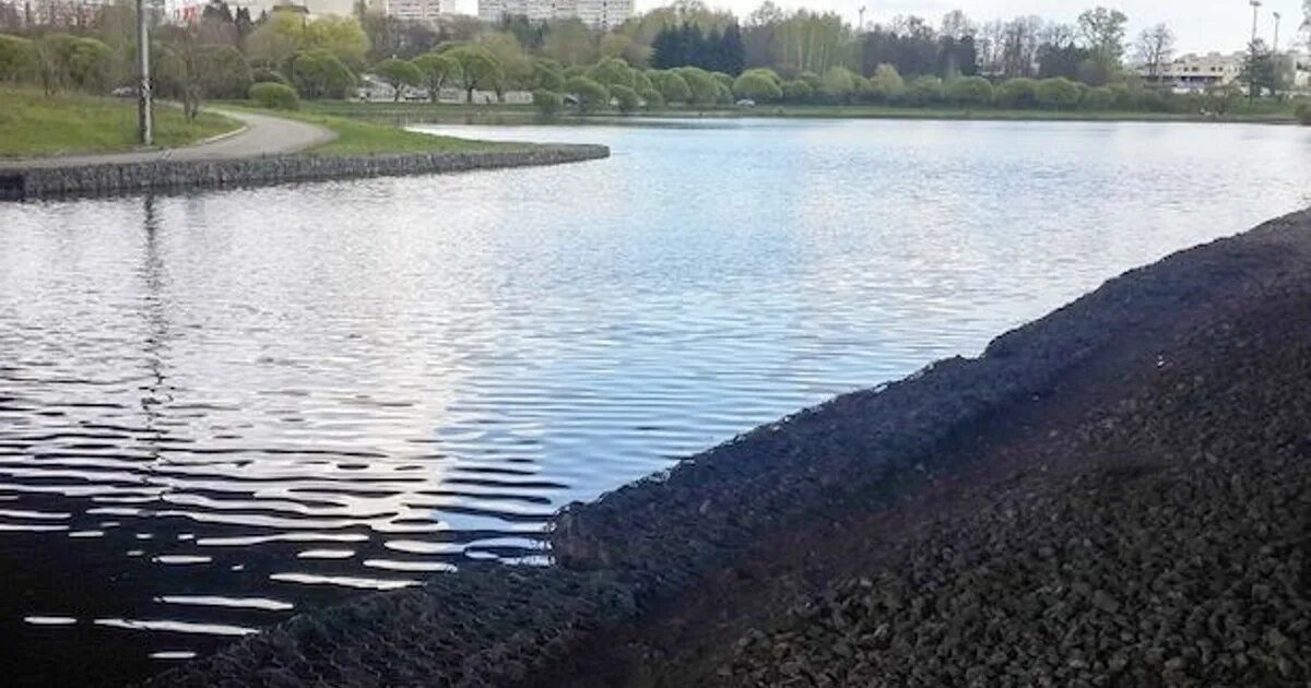 Общественный водоем. Большой городской пруд Зеленоград. ДК Зеленоград пруд. Зеленоград осушение пруда. Ангстрем Зеленоград осушение пруда.