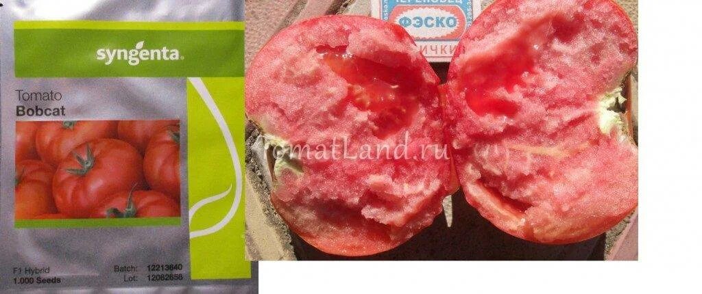Бобкат описание сорта. Сорт помидор бобкат. томат бобкат ф1. томат бобкат сингента. бобкат томат голландия.