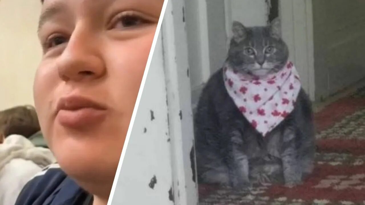 Будет что то типа обеда мем. Обеденный перерыв мем. а у нас будет чтото типа обеда. а у нас будет что то типа обеда мем кот. а у нас будет что то типа обеда мем оригинал.