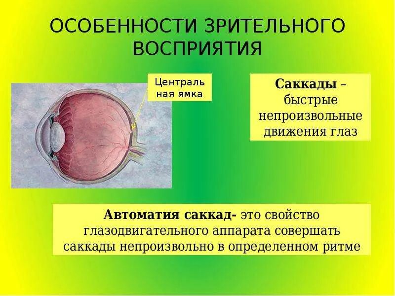 Изучение зрительного восприятия. Зрительный гнозис упражнения для детей. Субтест 4 зрительно пространственное восприятие. Изучение зрительного восприятия. Исследование зрительного восприятия.