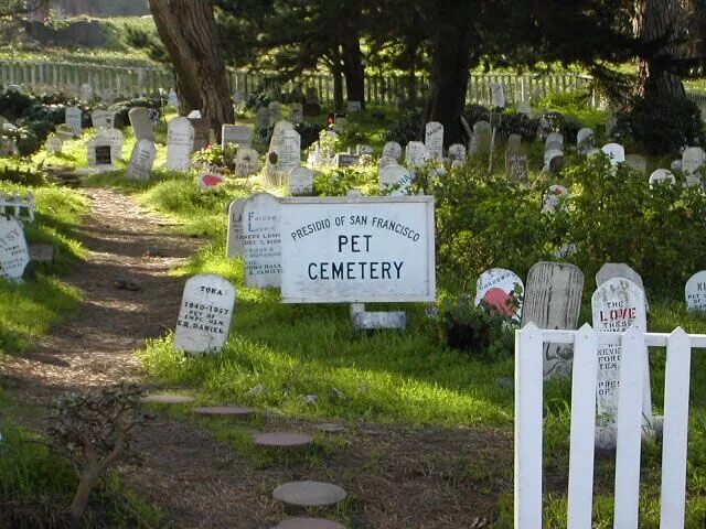 Pet cemetery. Кладбище домашних животных в гайд-парке Лондон Великобритания. Hyde Park Pet Cemetery гайд-парк. Гайд парк кладбище домашних животных. Кладбище домашних животных в гайд парке в Лондоне.
