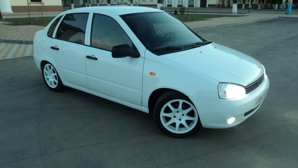Белый калины цвет
