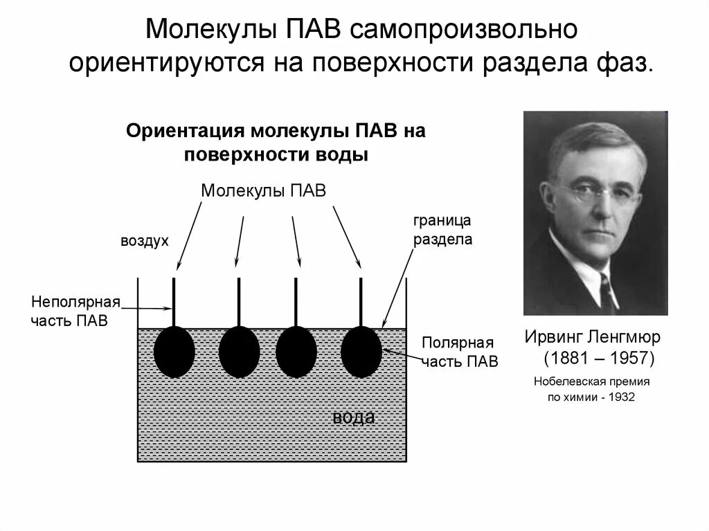 Ориентация молекул пав. Дифильность молекулы пав это. Пав на границе раздела фаз. Поверхность раздела фаз.