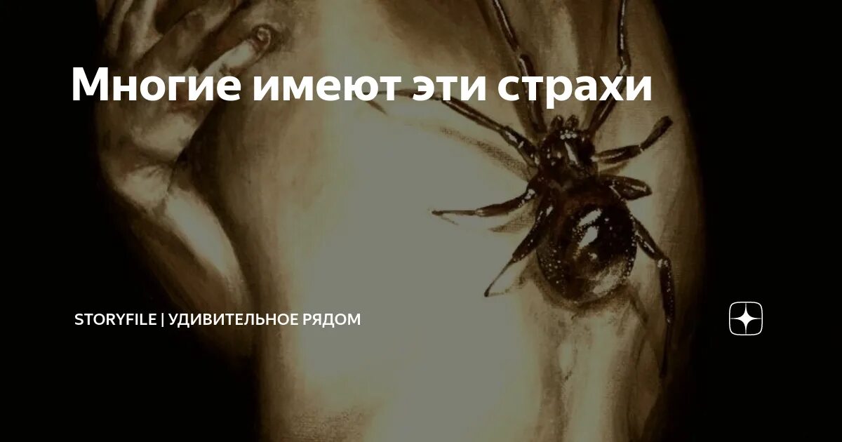 Большие тарантулы. Большой паук во сне. Сонник к чему снятся большие пауки. Приснились большие пауки к чему это. Если снится паук к чему это.