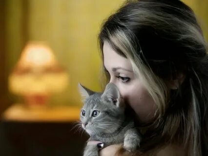 3 женщины 1 кот