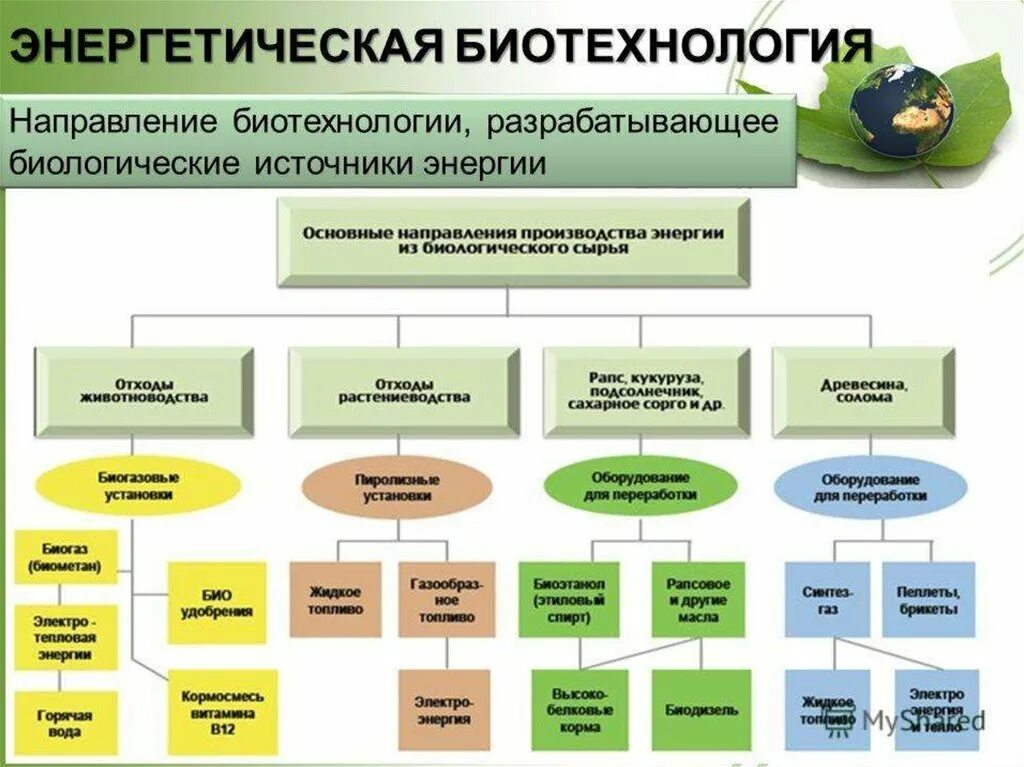 Методы направления биотехнологии. Биологические источники энергии. Энергетическая биотехнология. Биотехнология направления биотехнологии. Основные направления и методы биотехнологии.