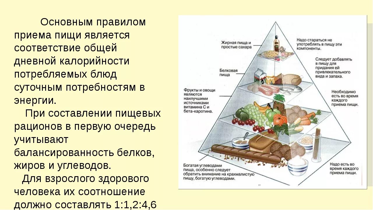 Потребление пищи. Правила потребления пищи. Основные приемы пищи. Порядок приема пищи.